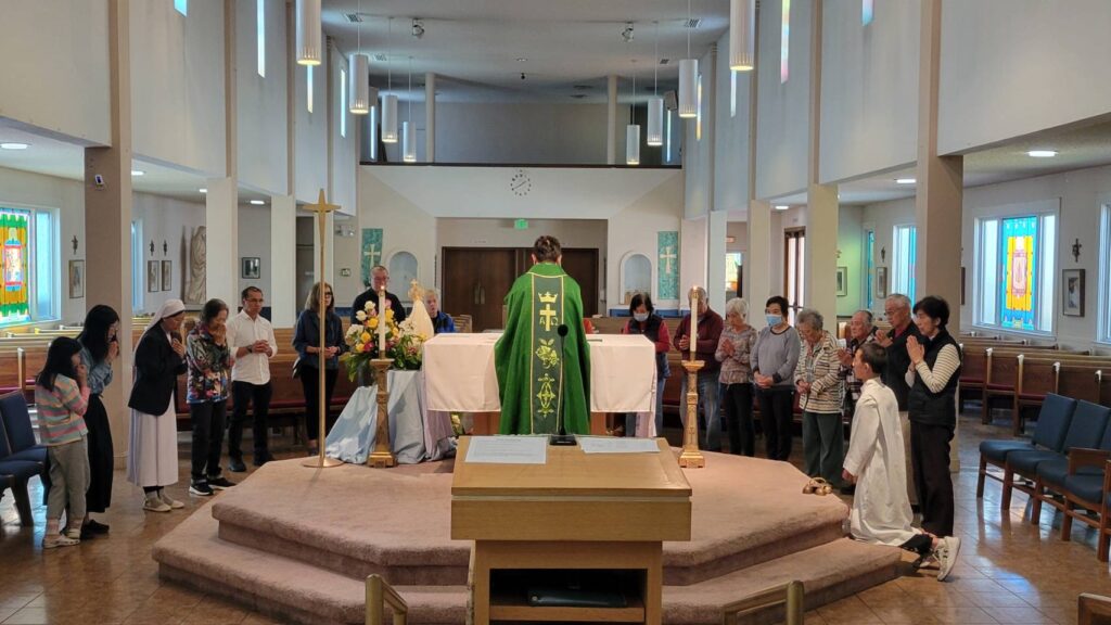 A person in a green robe standing at a podium

AI-generated content may be incorrect.